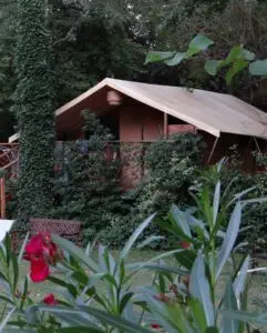 lodge dans camping