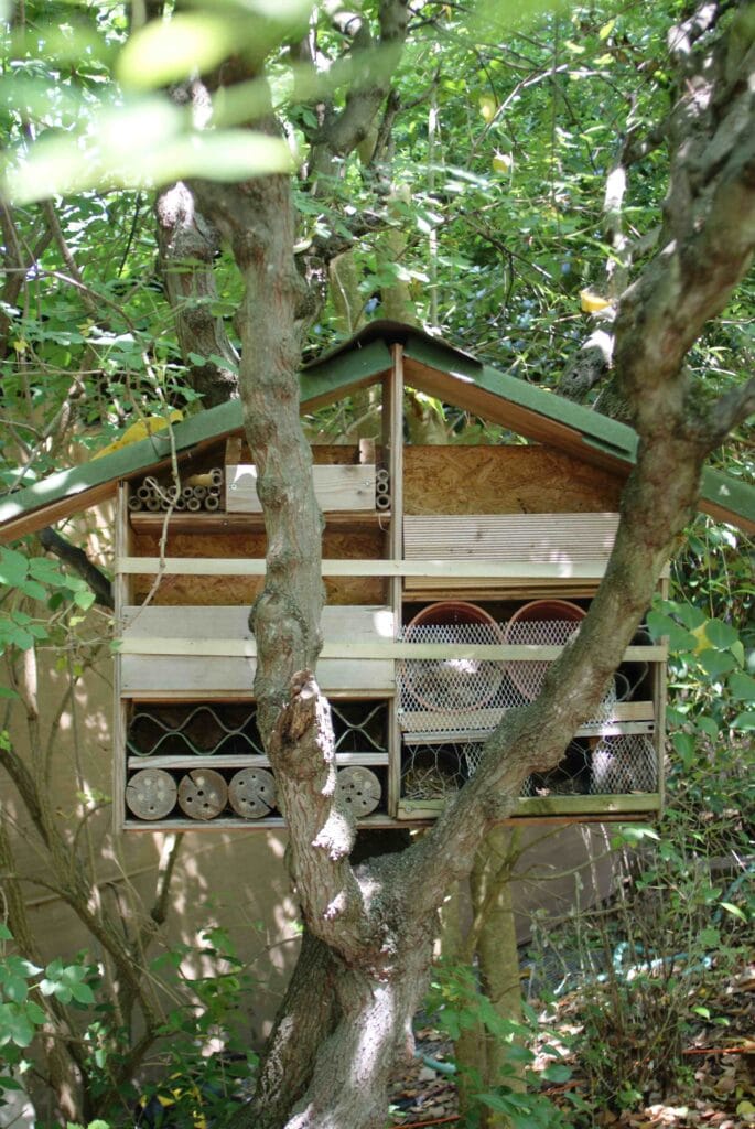 hôtel à insectes